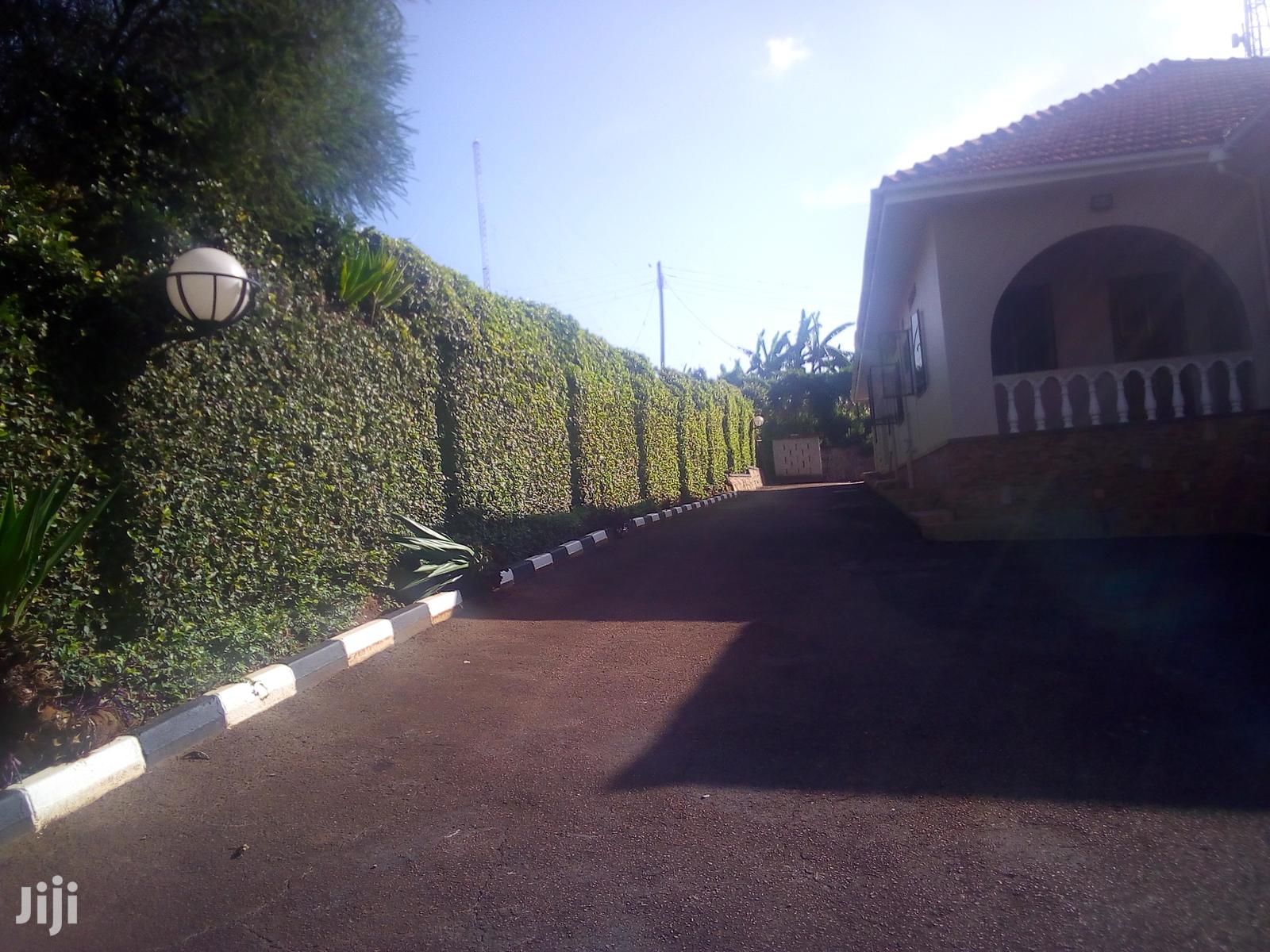 A Magnificent Banglow In Bugoloobi