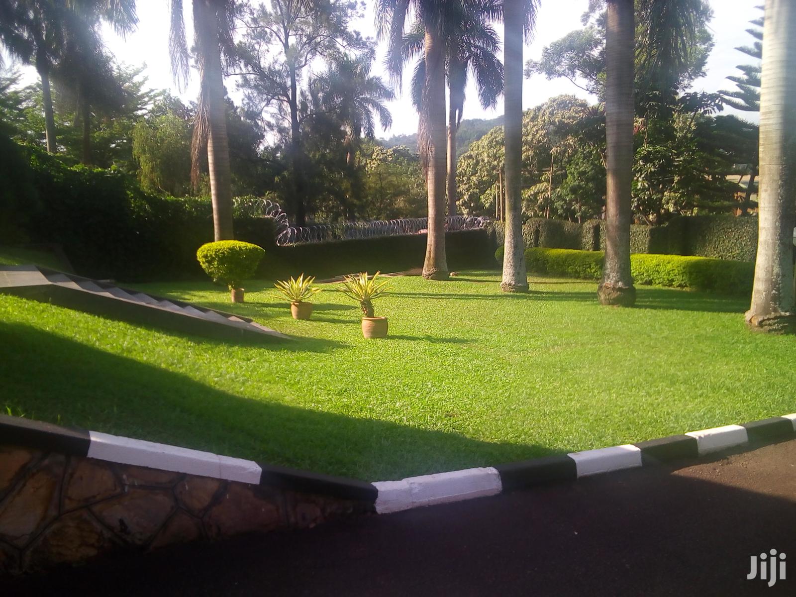 A Magnificent Banglow In Bugoloobi