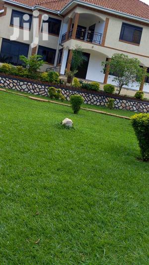 Four Bedroom Mansion In Bugoloobi For Rent