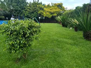 4 Bedrooms House For Rent In Bugolobi