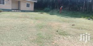 Storeyed House for Rent in Bukoto