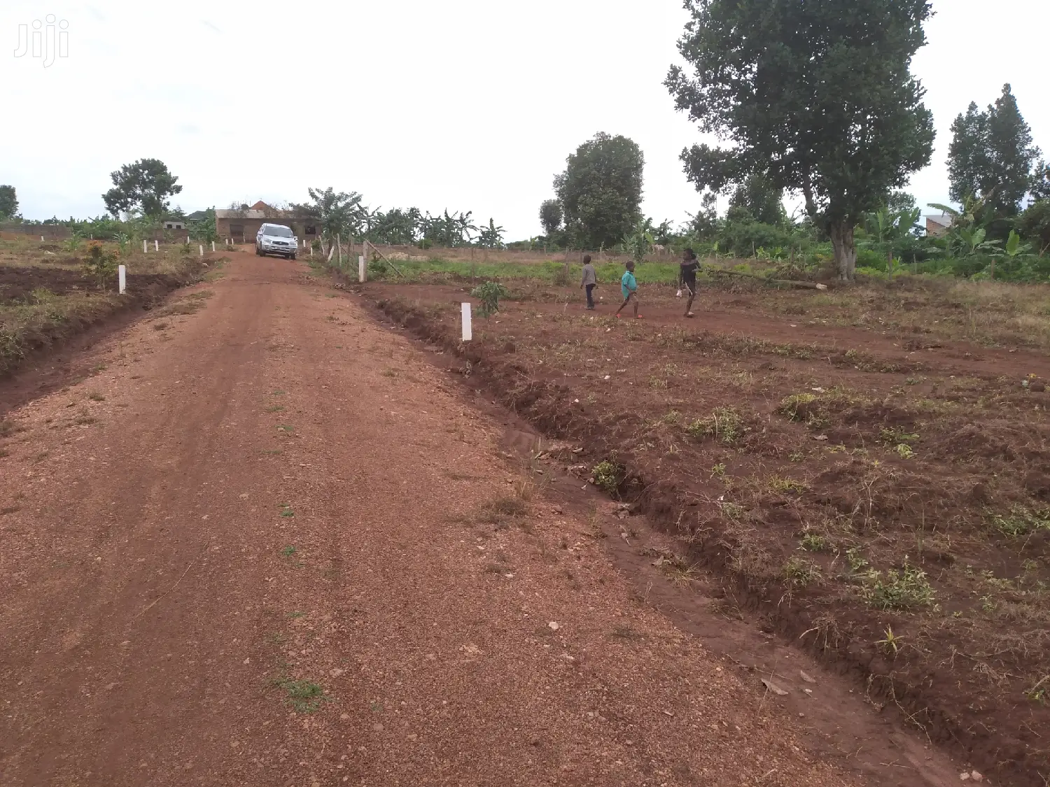 Classic Sweet Estate Land For Sale