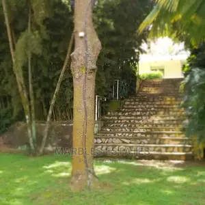 Stunning Nice House For Rent In Naguru