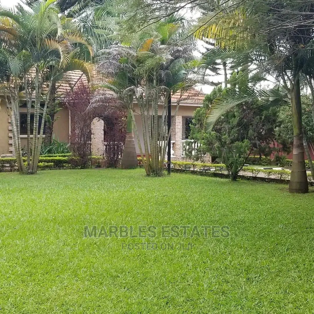 Stunning Nice House For Rent In Naguru