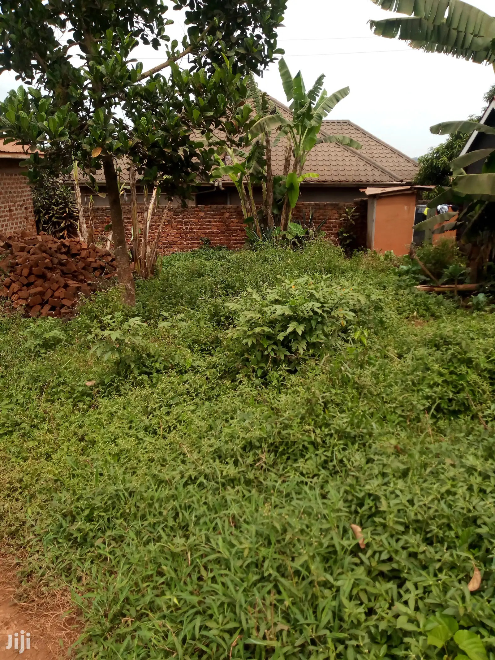 Plot for Sale 50x50ft Kigoma Town Its Private Mailo Land