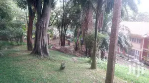 4 Bedroom Villa In Kololo For Rent