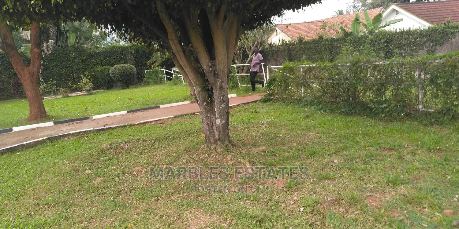 Nice House in Bugolobi For Rent