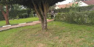 Nice House in Bugolobi For Rent