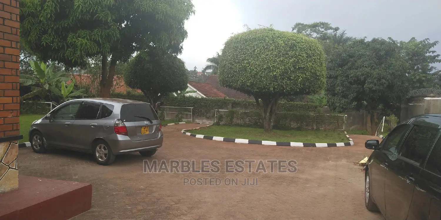 Nice House in Bugolobi For Rent