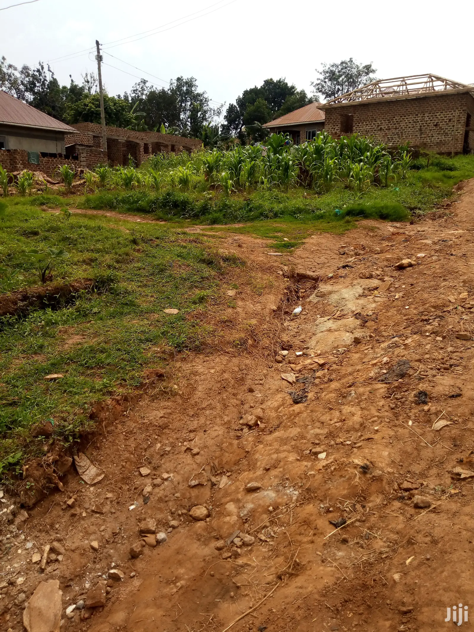 Plot for Sale 30x100ft Lukwaga Setema Road
