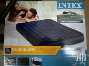 Intex Air Mattress