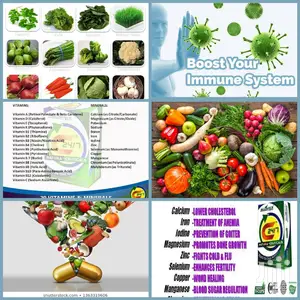 Boost Your Immune System