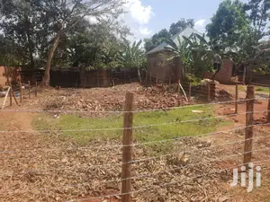 Very Sweet Plot for Serious Apartments Quicksale in Makindye