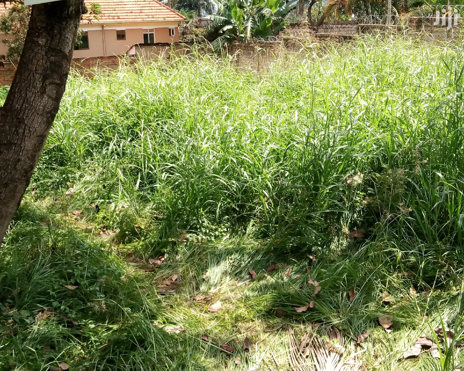 Naguru Plot Is for Sale