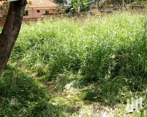 Naguru Plot Is for Sale