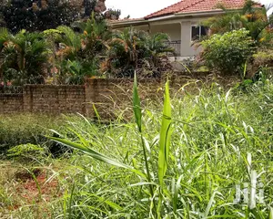 Naguru Plot Is for Sale