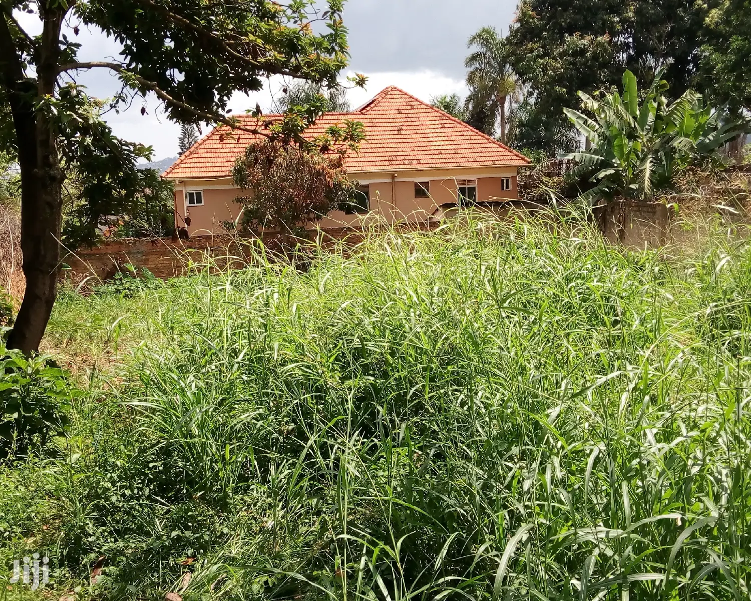 Naguru Plot Is for Sale