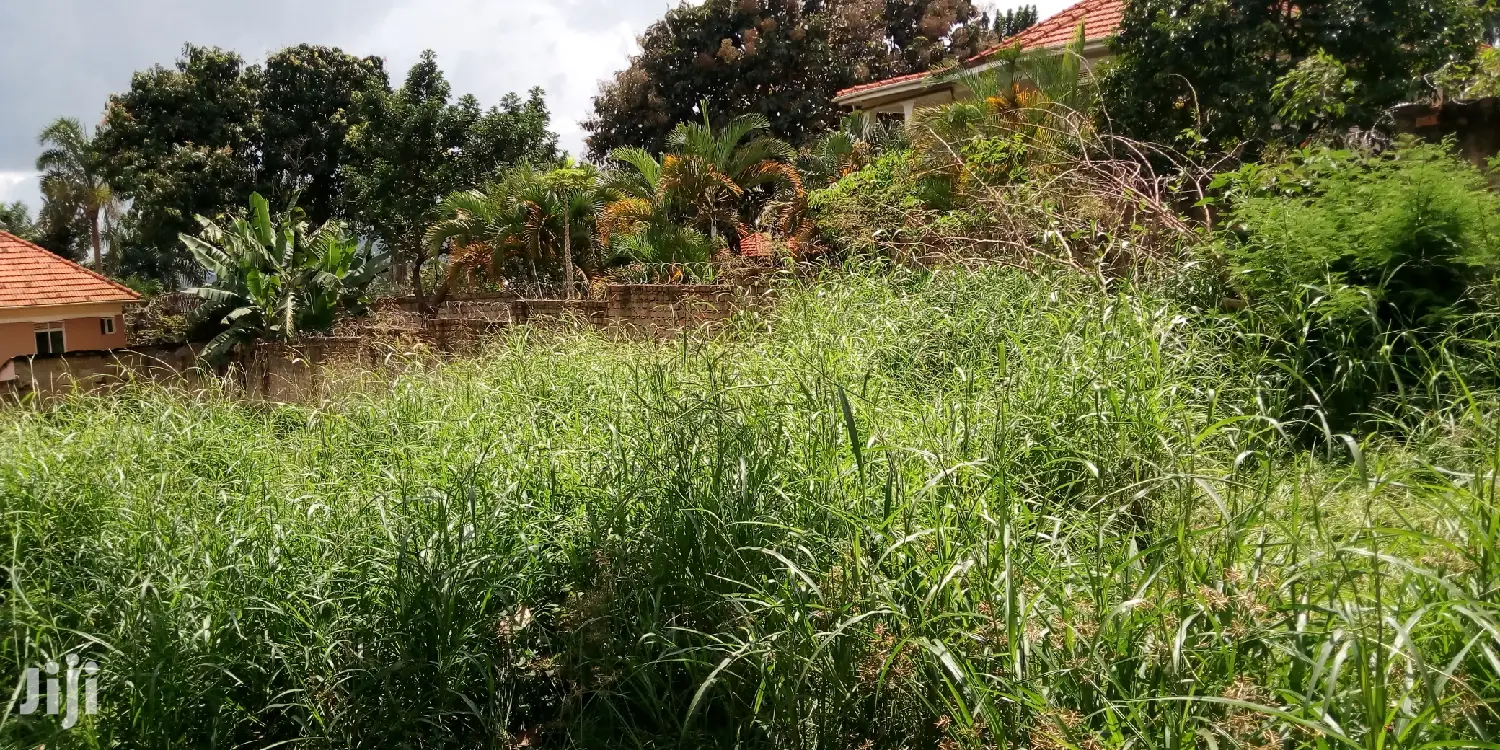 Naguru Plot Is for Sale