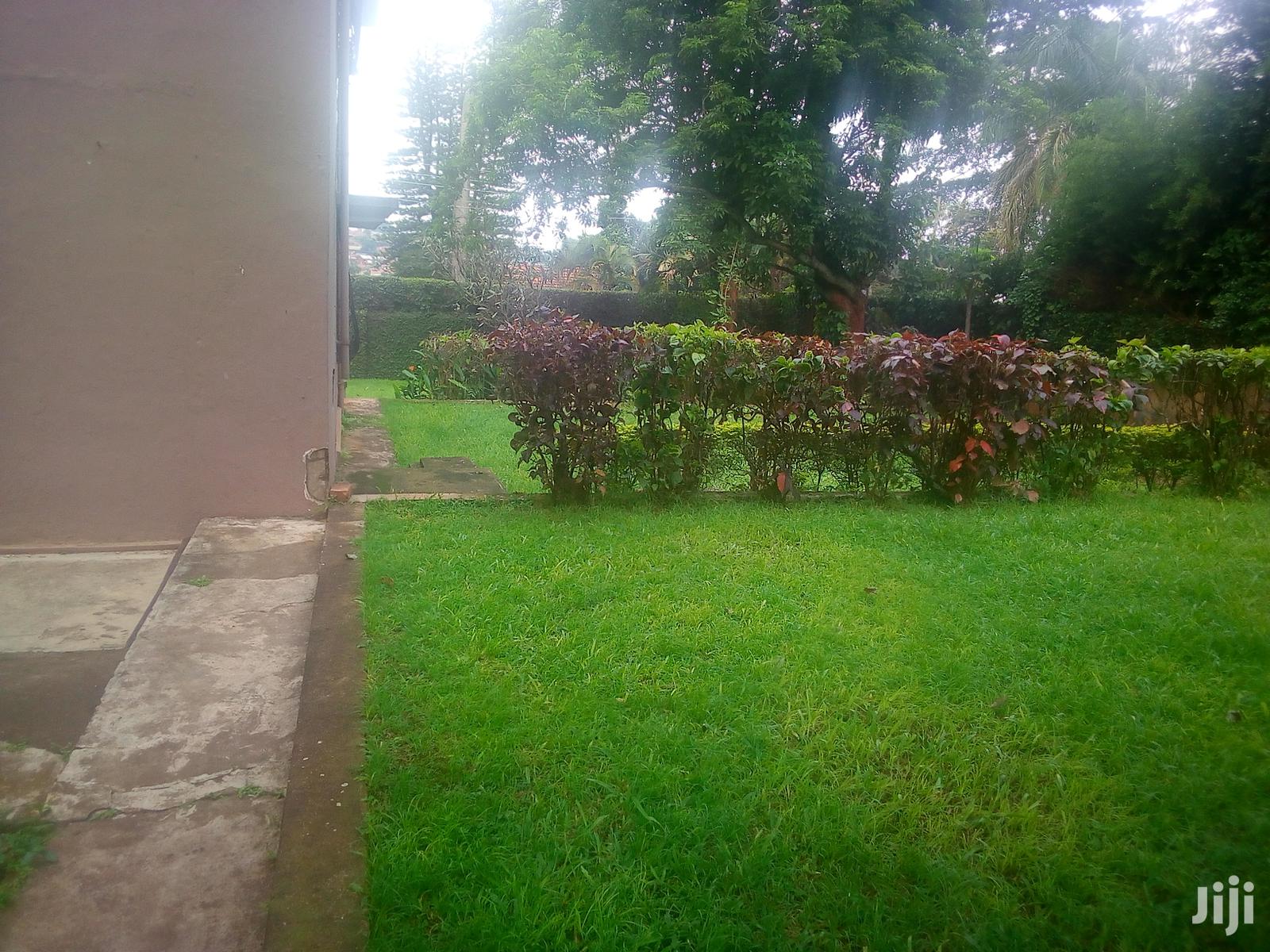 House In Kololo For Rent