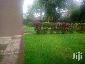 House In Kololo For Rent