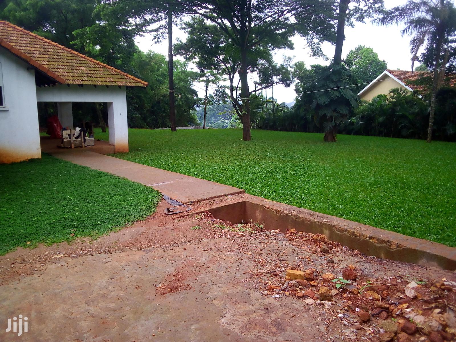 Five Bedroom House In Kololo For Rent