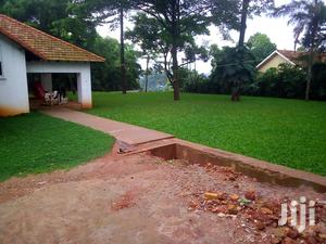 Five Bedroom House In Kololo For Rent