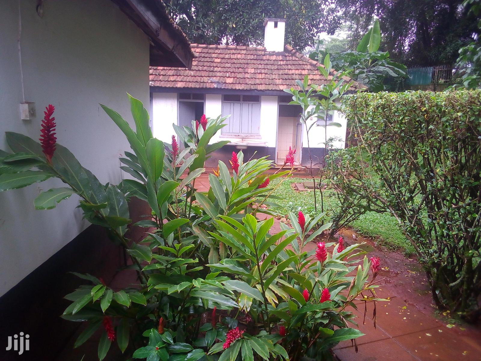 Three Bedroom House In Kololo For Rent
