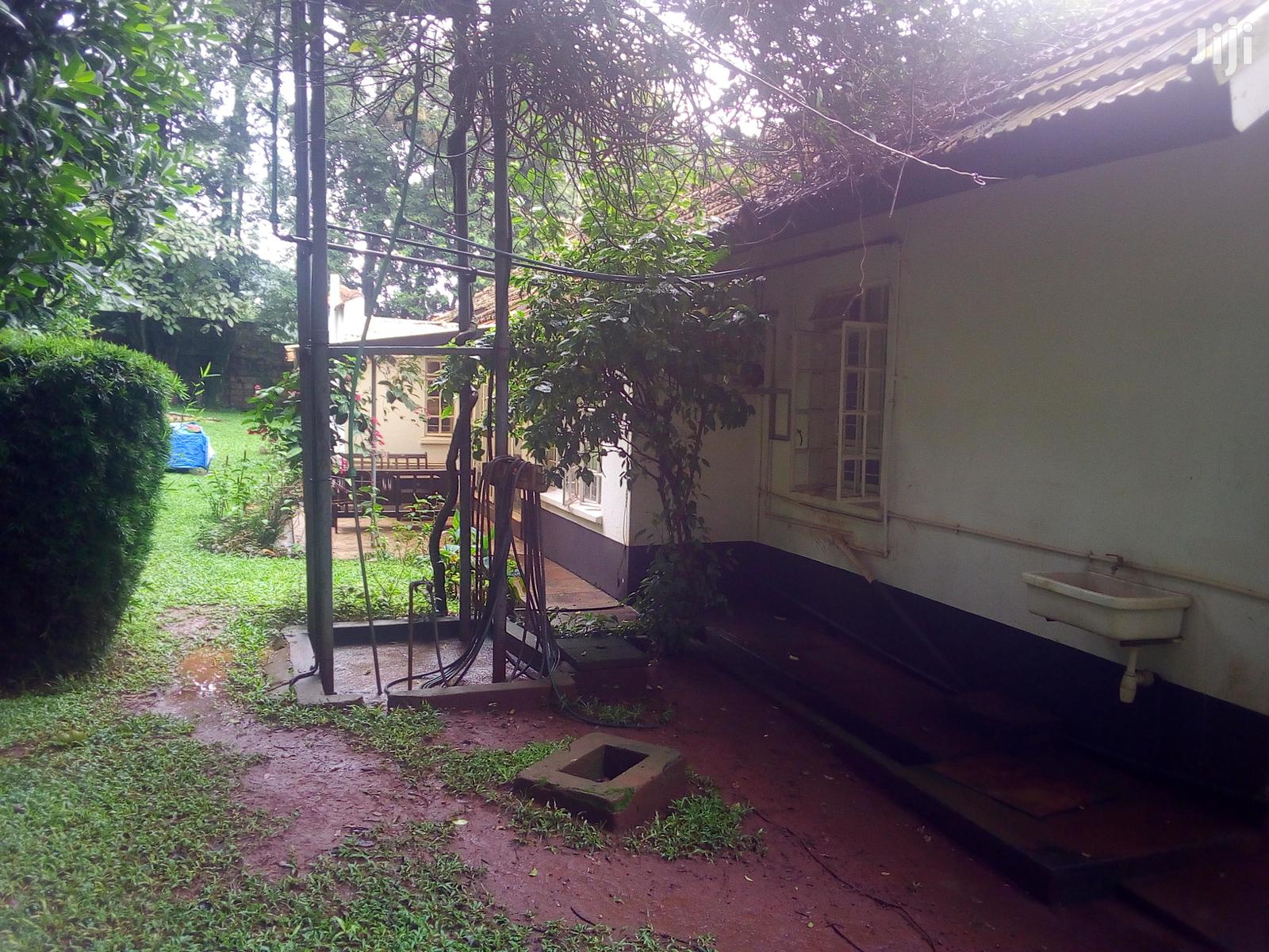 Three Bedroom House In Kololo For Rent