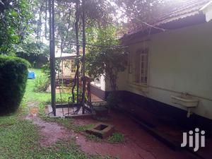 Three Bedroom House In Kololo For Rent