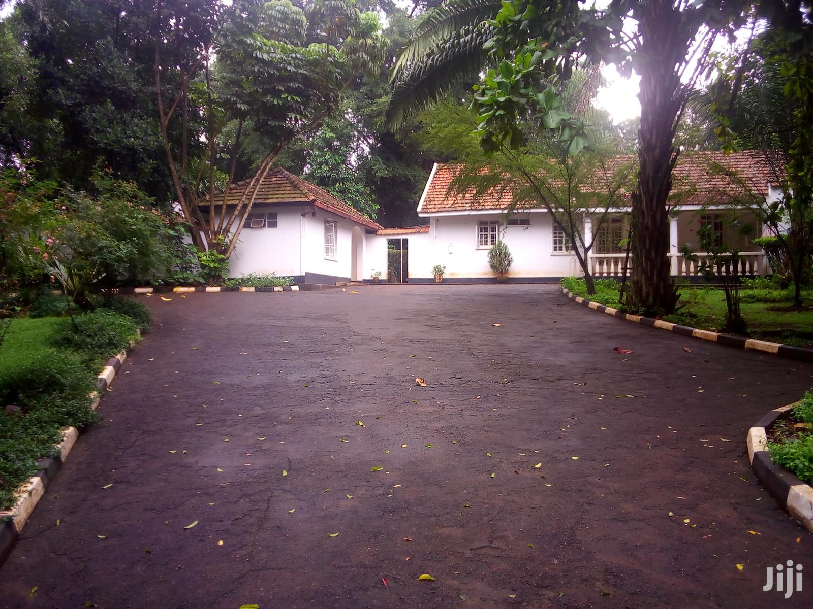 Three Bedroom House In Kololo For Rent