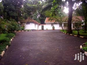 Three Bedroom House In Kololo For Rent