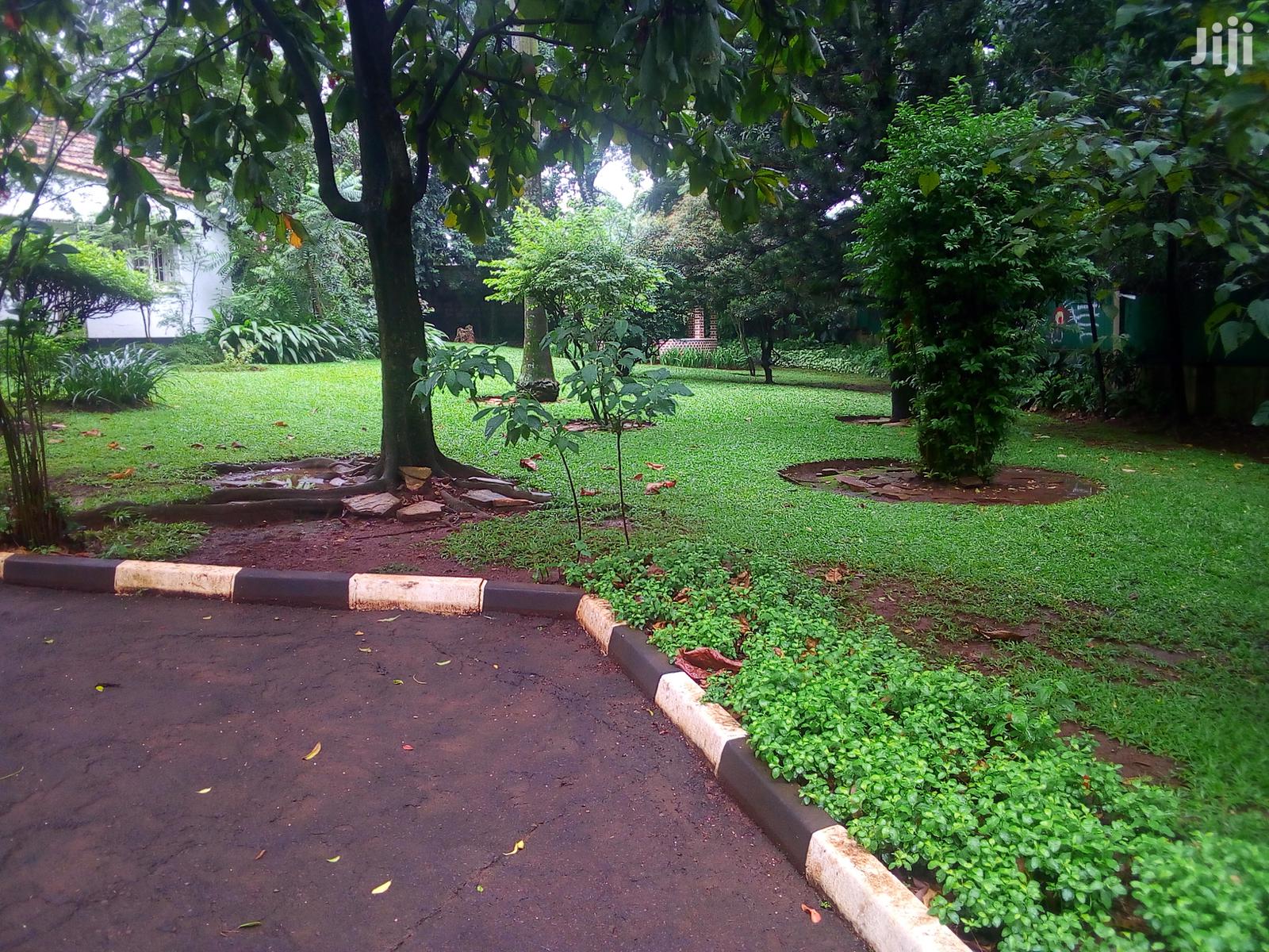 Three Bedroom House In Kololo For Rent