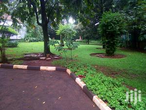 Three Bedroom House In Kololo For Rent