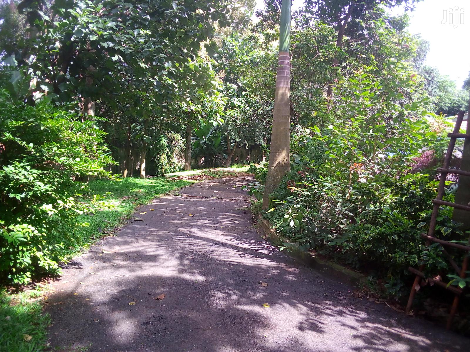 Property for Sale in Kololo