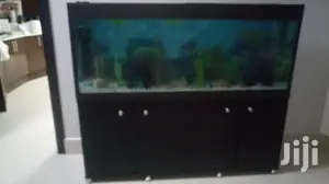 Beautiful,Cheaper and Durable Aquarium From Aqua 2000