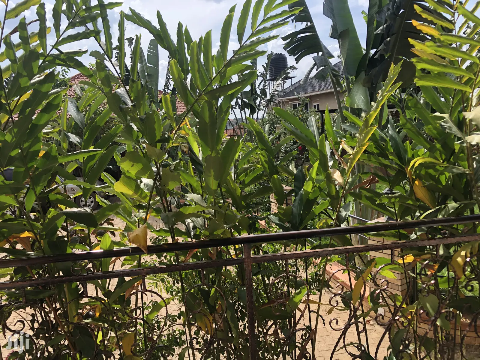 Kira Palatial Home on Sell
