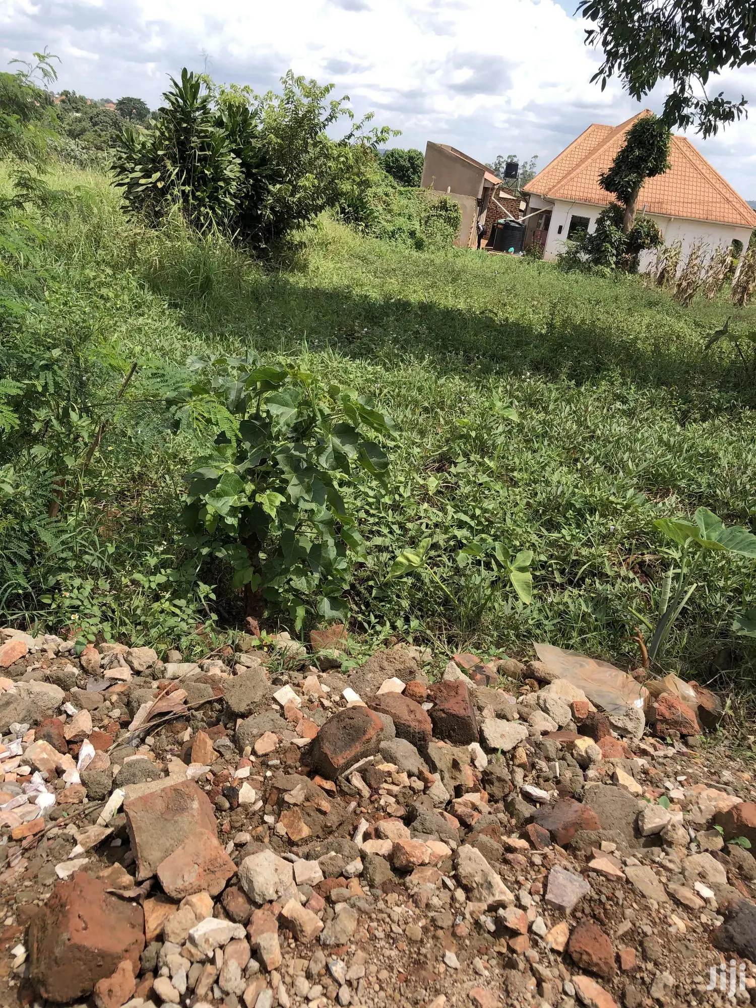 Kiira Kimwani 25 Decimals Land Near Tarmac For Sale