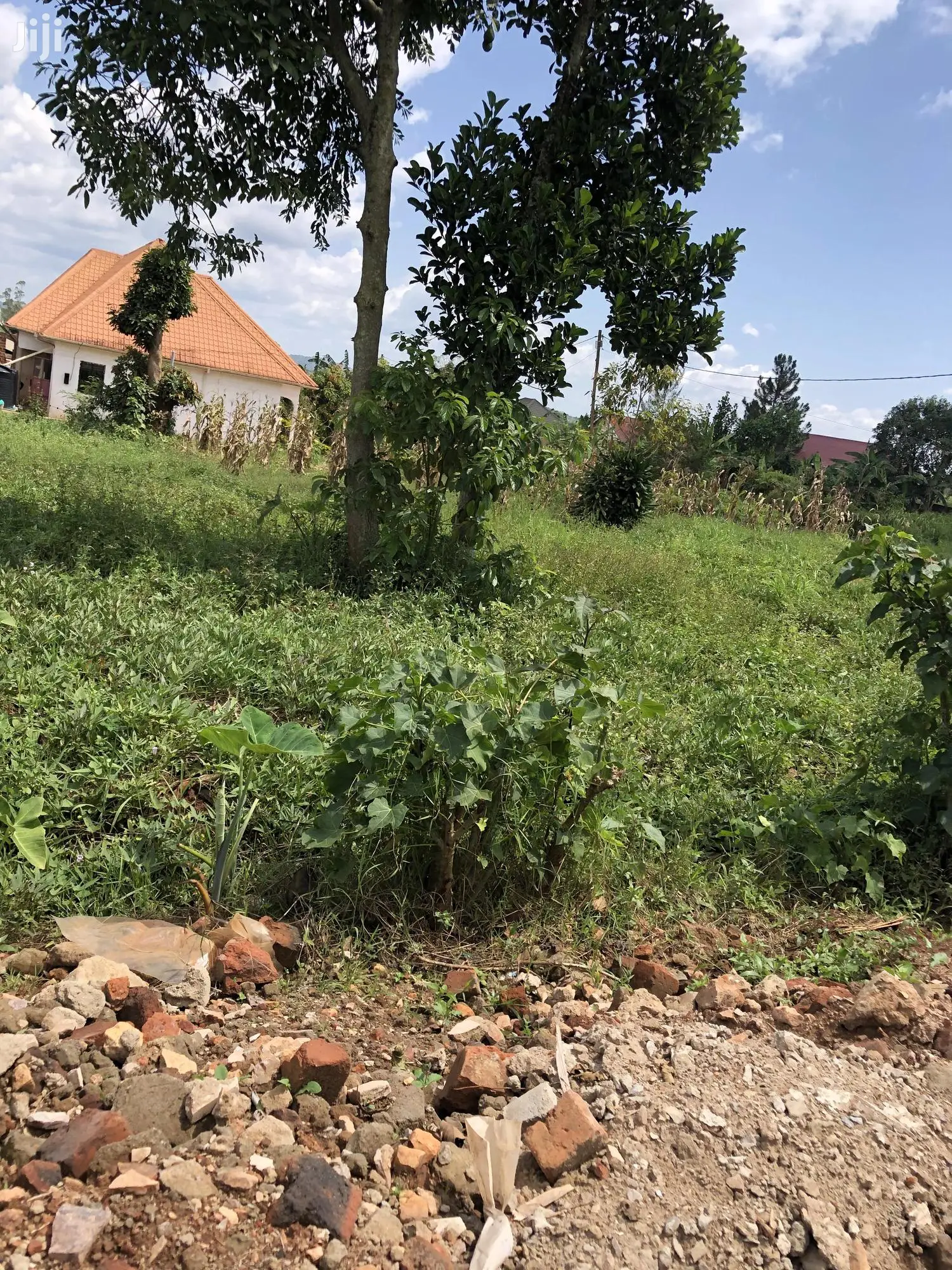Kiira Kimwani 25 Decimals Land Near Tarmac For Sale