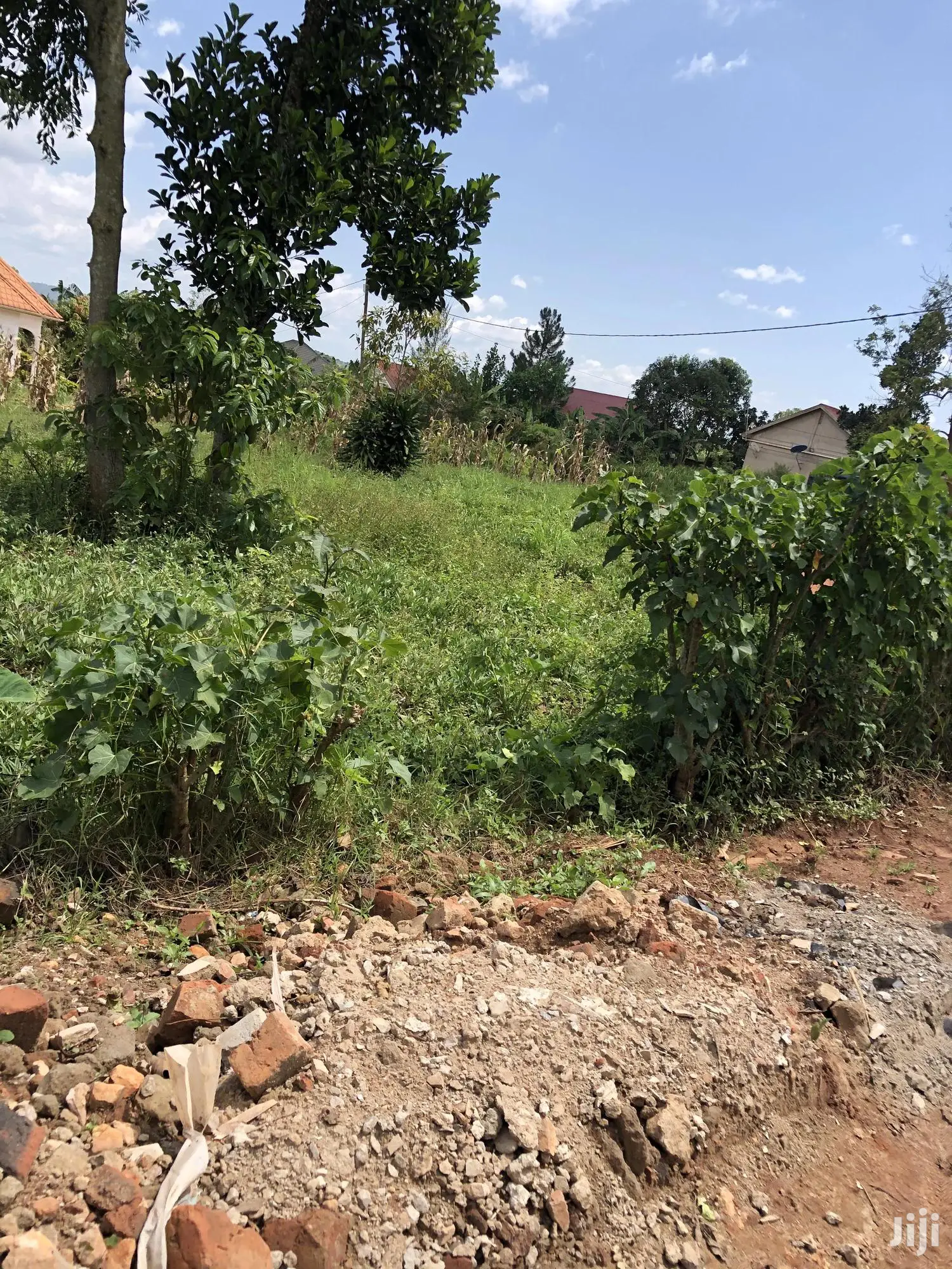 Kiira Kimwani 25 Decimals Land Near Tarmac For Sale