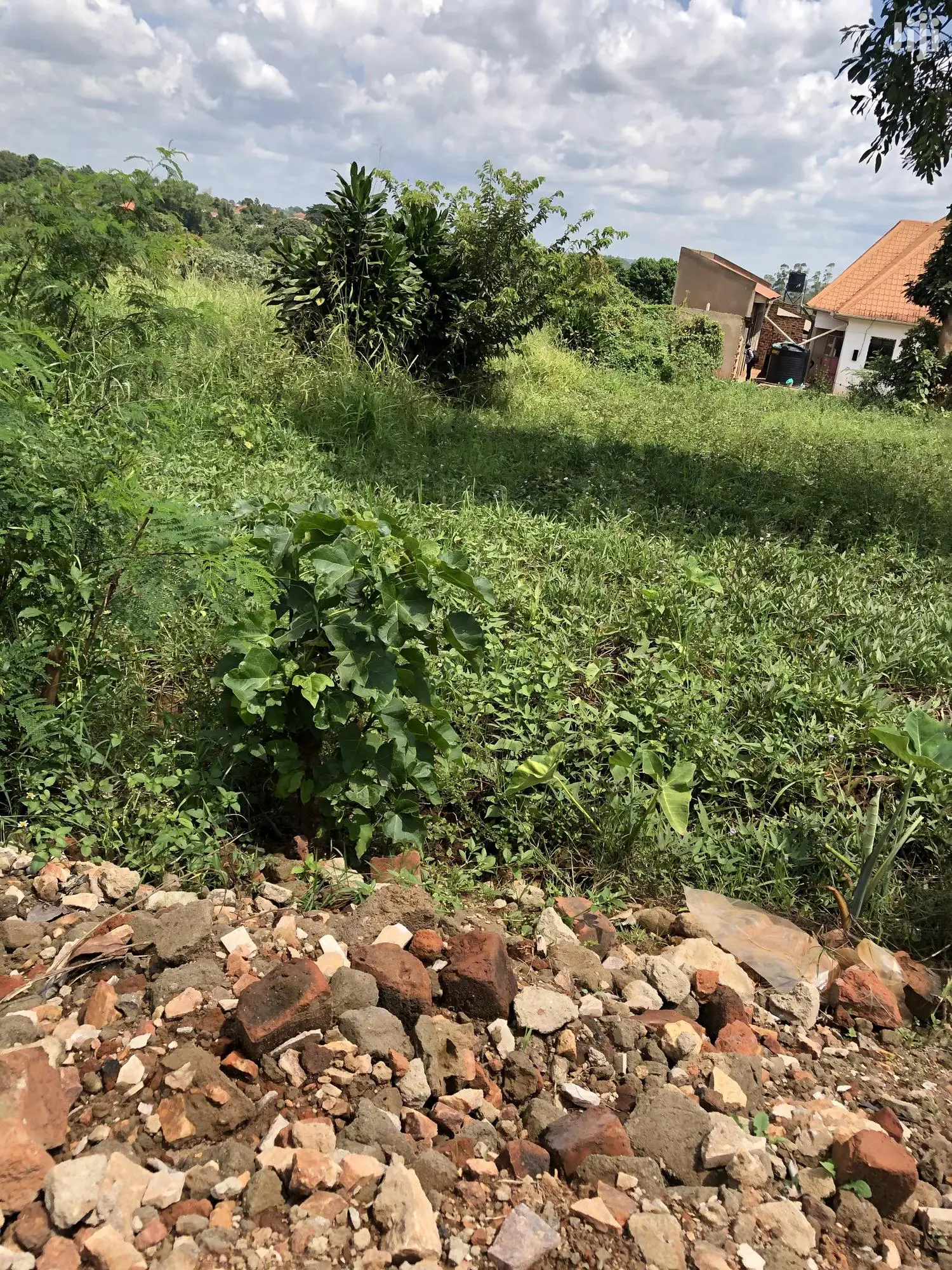 Kiira Kimwani 25 Decimals Land Near Tarmac For Sale
