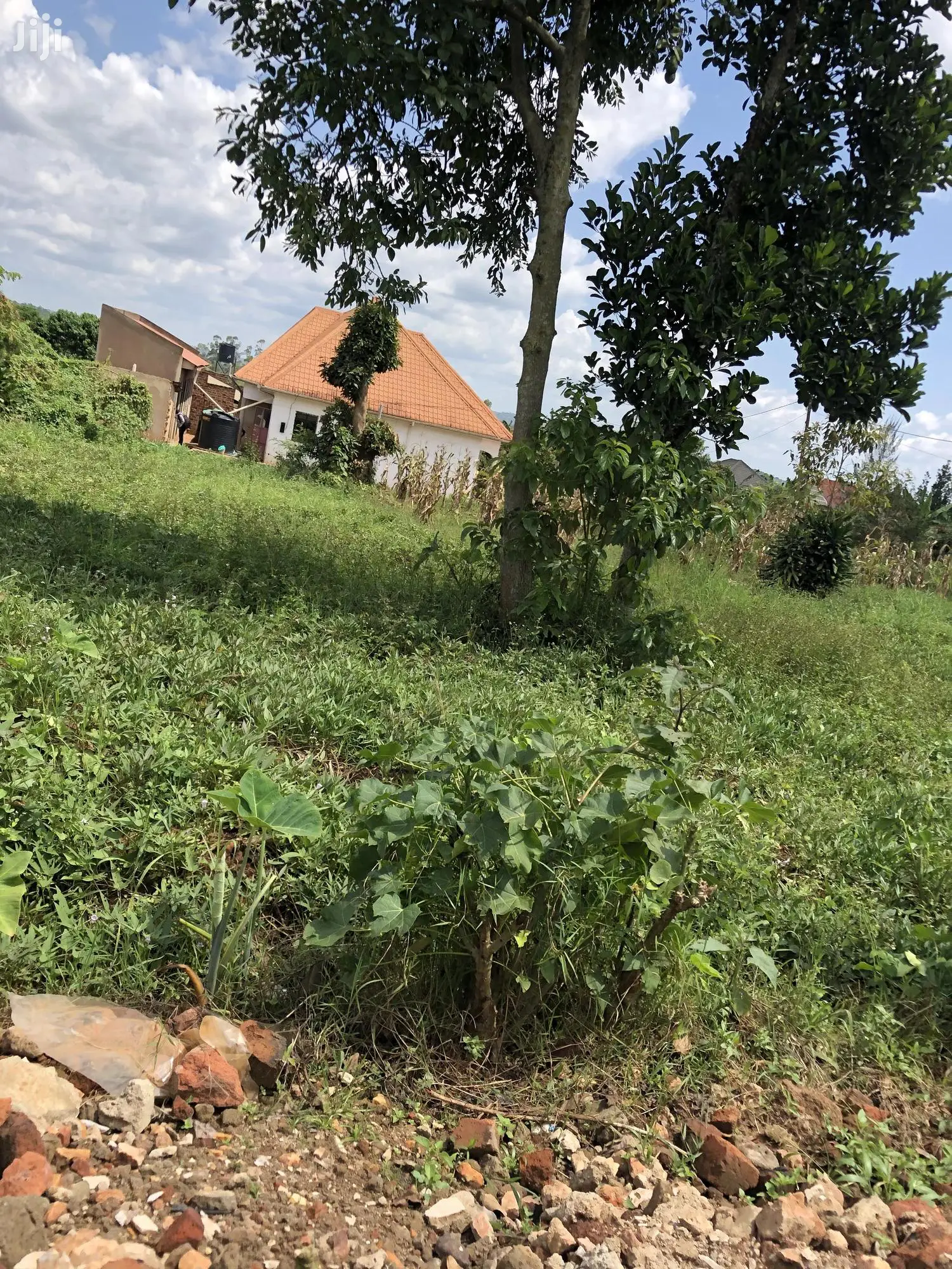 Kiira Kimwani 25 Decimals Land Near Tarmac For Sale
