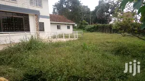 Magnificent Spacious House In Nakasero For Rent