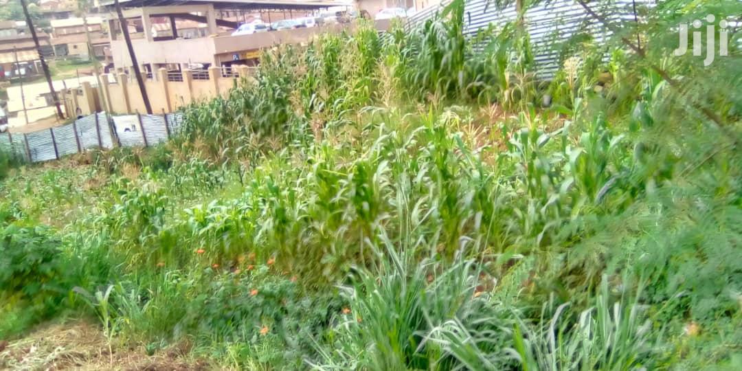 Land In Lugogo For Sale