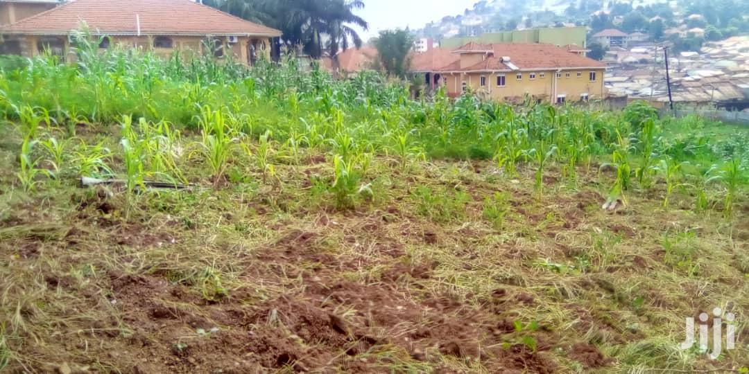 Land In Lugogo For Sale