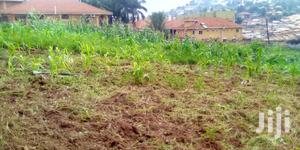 Land In Lugogo For Sale