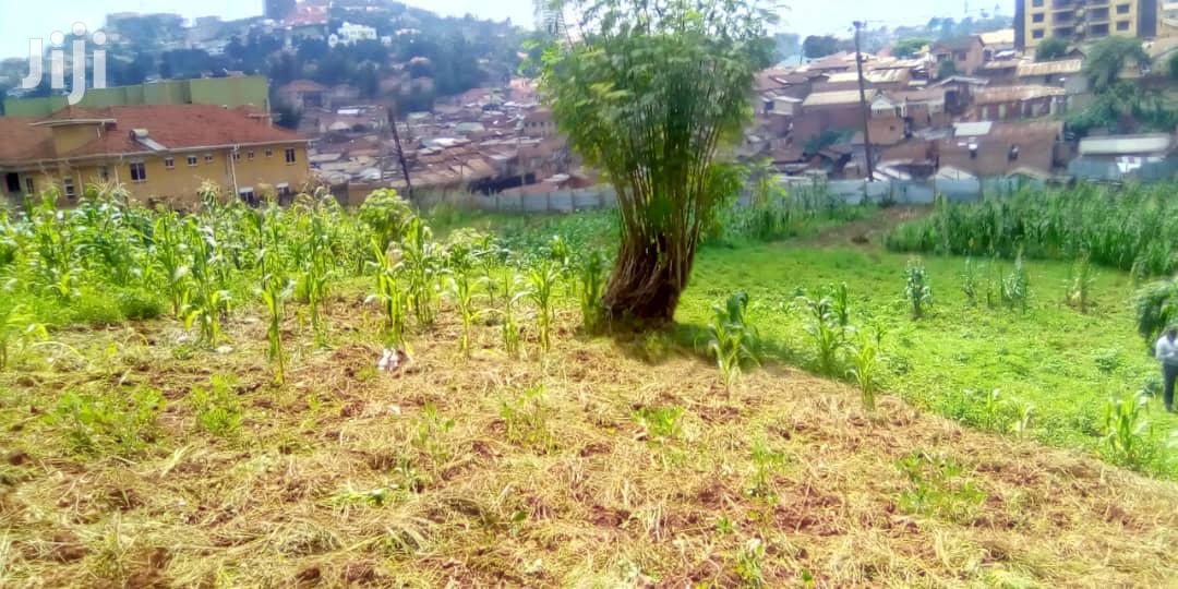 Land In Lugogo For Sale