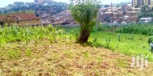 Land In Lugogo For Sale