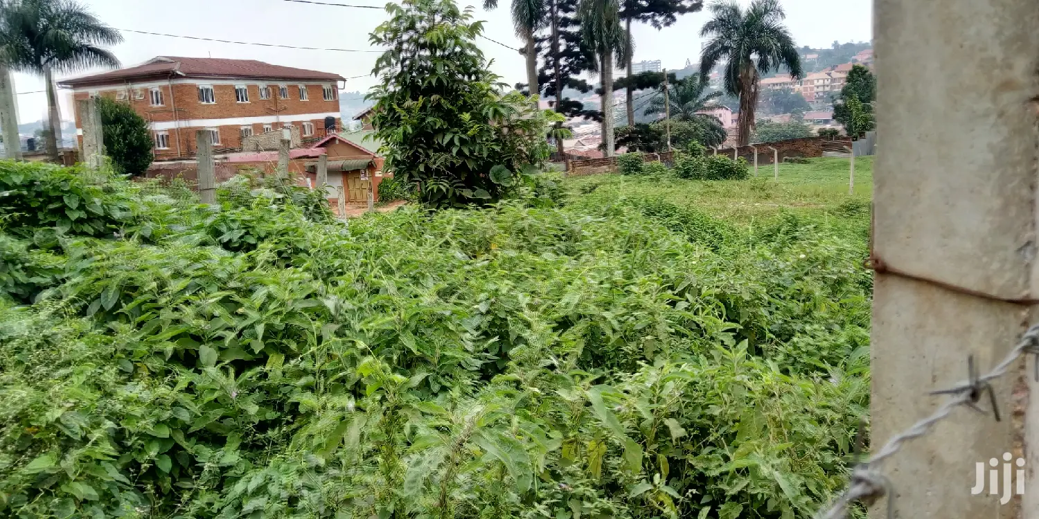 Plot Is for Sale