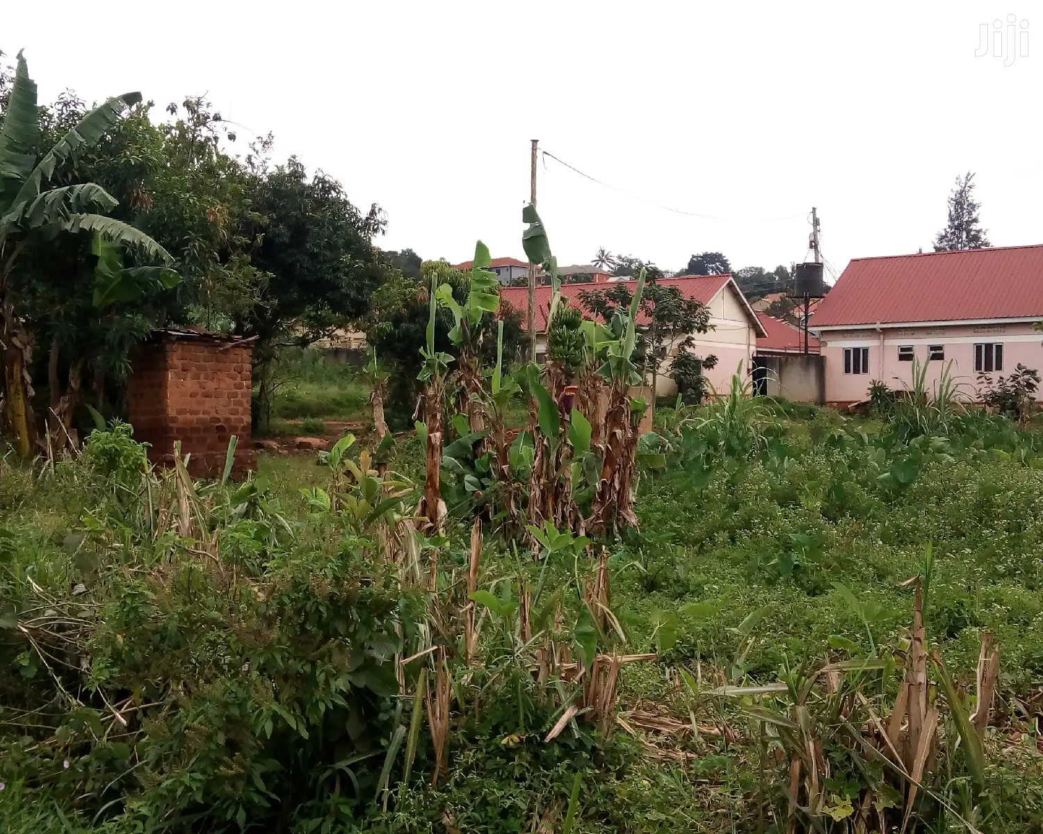 Kisasi Plot Is for Sale