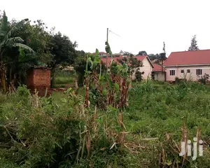 Kisasi Plot Is for Sale